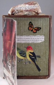 GEDSC DIGITAL CAMERA